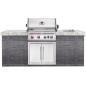 BUILT-IN 700 32'' SERIES BARBECUE NAPOLEON WITH INFRARED REAR BURNER STAINLESS STEEL - 80 cm